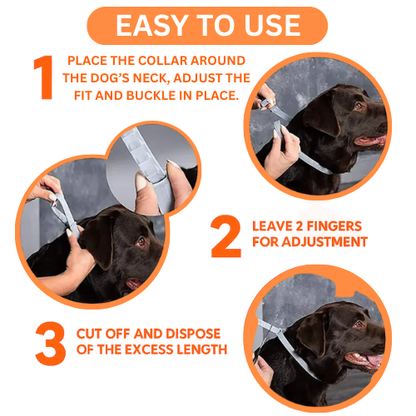 Zoo Pety™ Flea & Tick Free + Free Gift: Pet Hair Brush