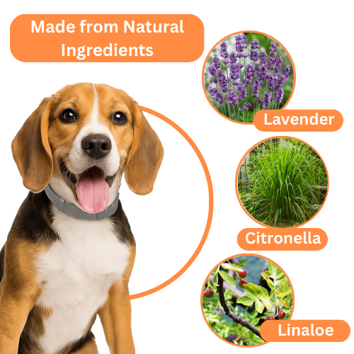 Zoo Pety™ Flea & Tick Free + Free Gift: Pet Hair Brush