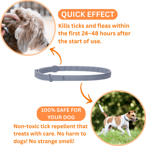 Zoo Pety™ Flea & Tick Free + Free Gift: Pet Hair Brush